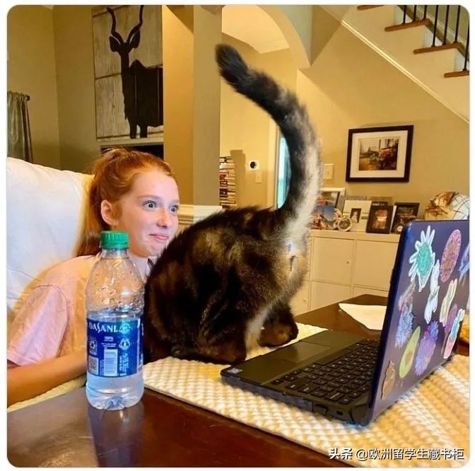 2021年英国大学不同线上入学面试风格下的常见提问DIY准备指南