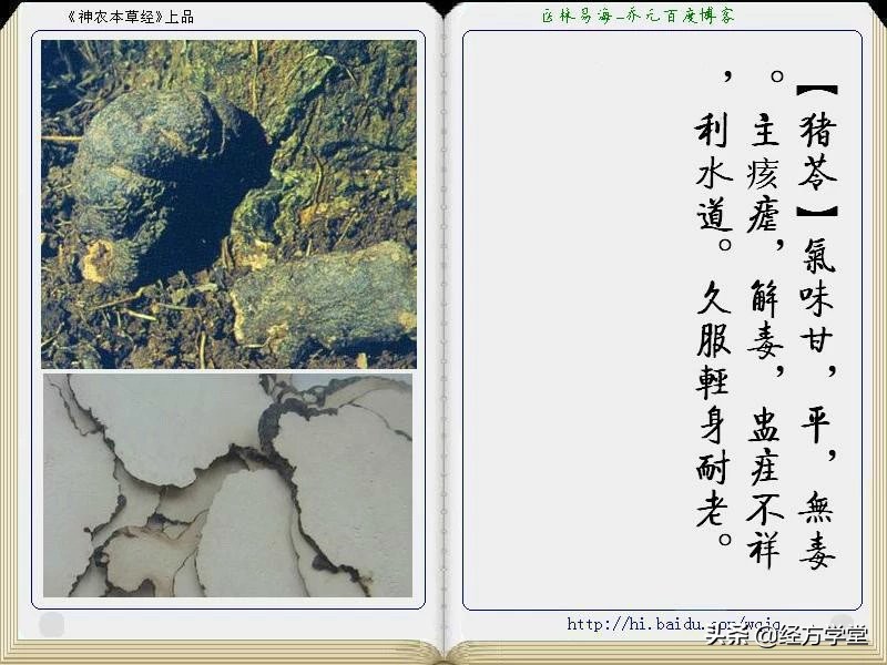 《神农本草经》全册图文解析 建议收藏