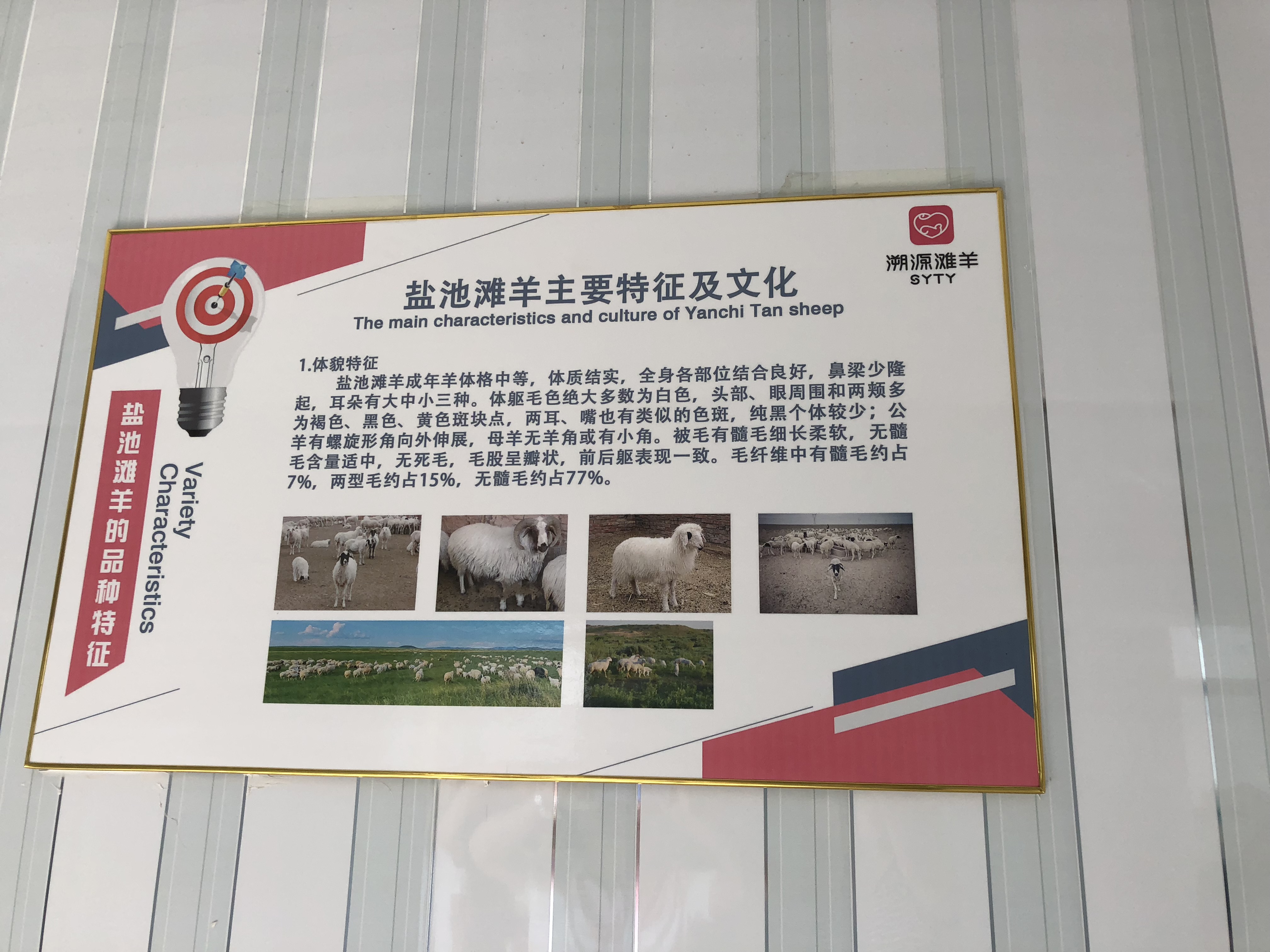 开展羊肉汤开店创业体系培训——我们的自信在哪里？