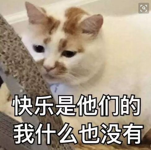 高颜值中韩情侣大赏！恋爱日常甜到发齁，想众筹让他们演偶像剧