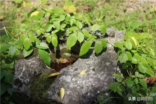 广西这座神秘猎奇的石头城，当地人都不一定知道