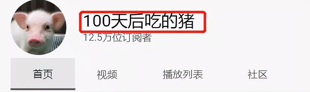 日本主播把养了100天的宠物猪烤着吃了，结果不到10天猪又复活了