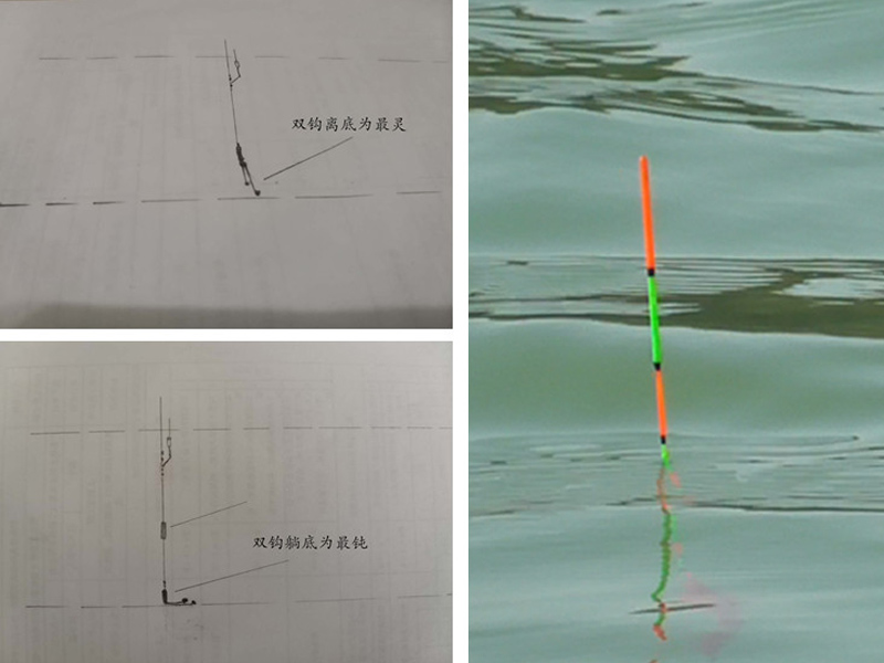 钓罗非鱼调漂的正确方法（钓罗非鱼调漂的正确方法视频教程）-第3张图片-科灵网