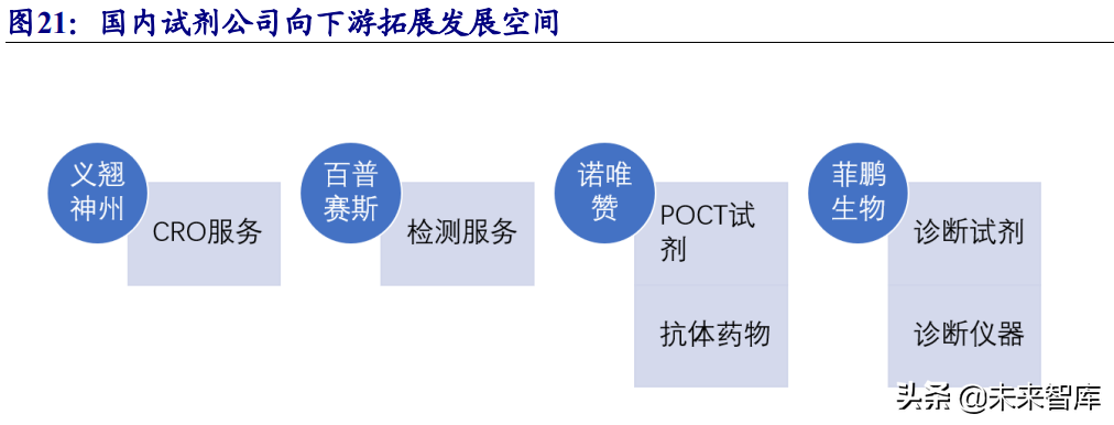 生物科研试剂行业研究：国内市场快速增长，行业百花齐放