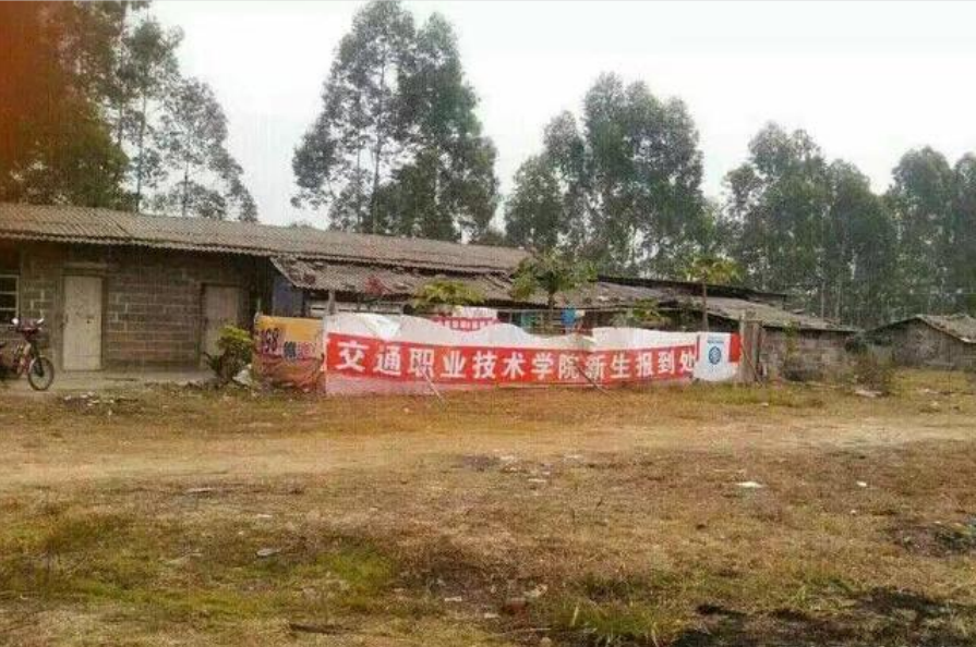 理想的大学和现实的大学，差距不止一星半点，入学欲望即刻消失