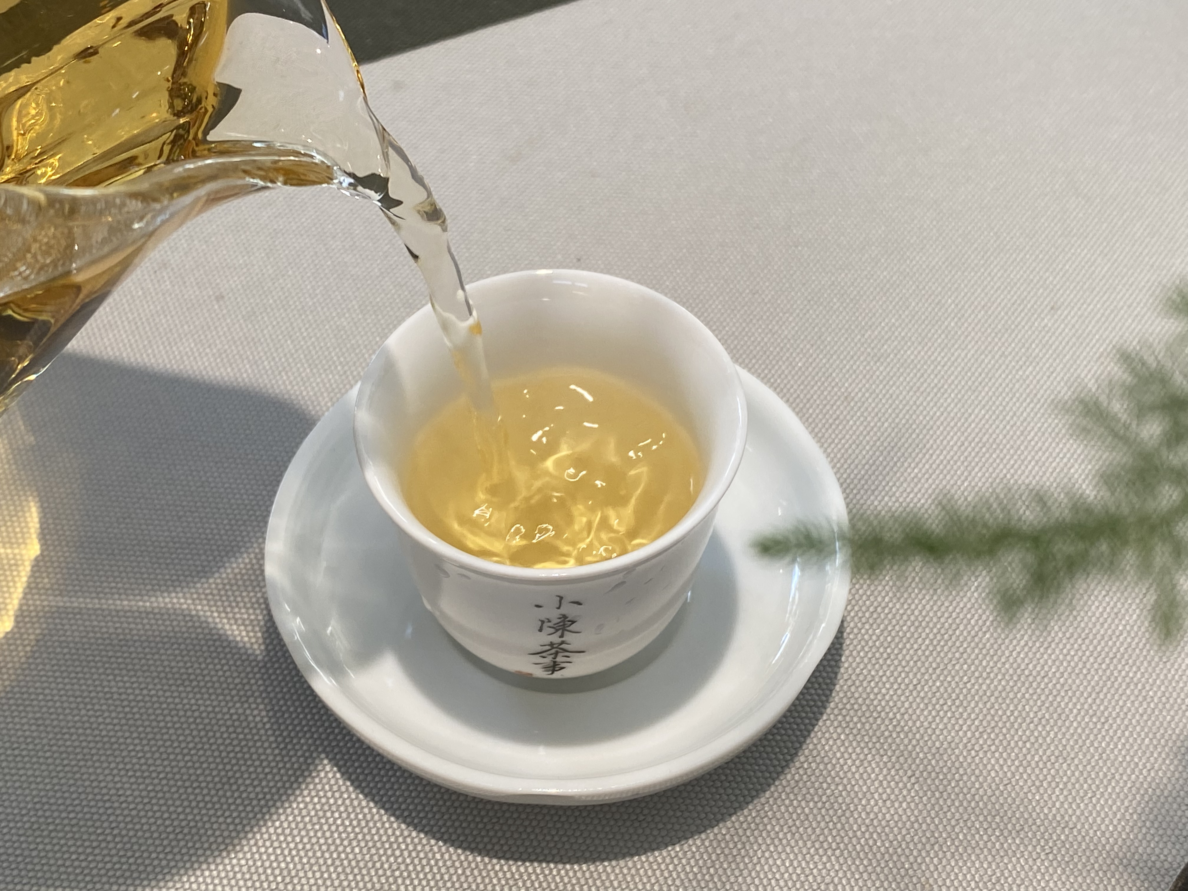 小雪天，带你看清煮茶与蒸茶的区别，来一杯好喝的老白茶暖身吧