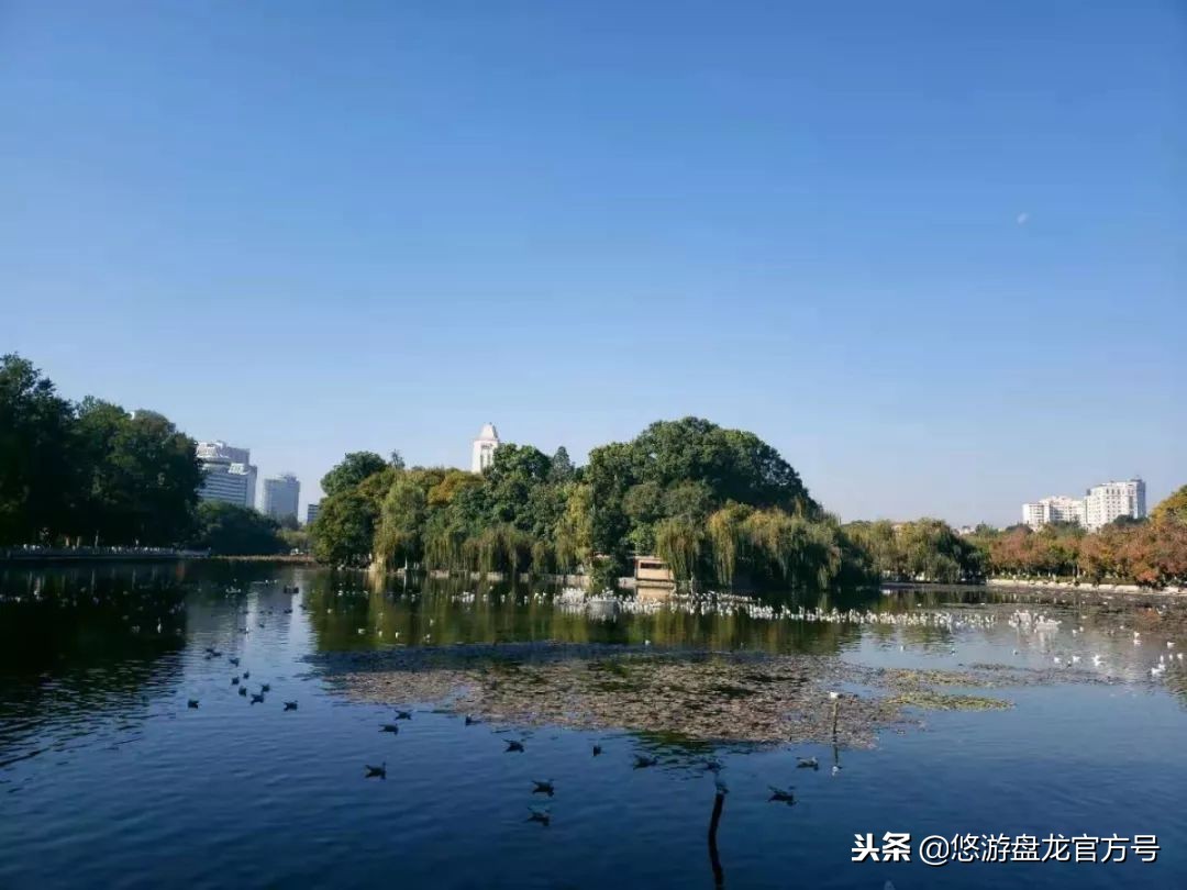 资讯｜昆明绝佳十大文艺拍照圣地，全部去过的请举手！