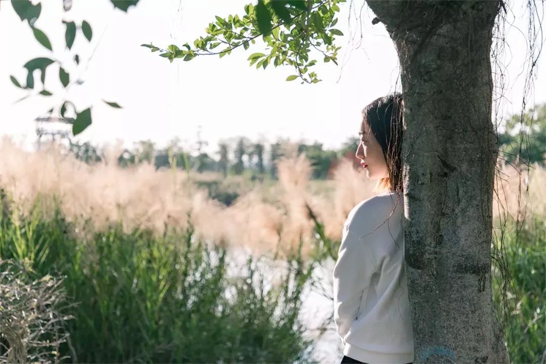 深圳宝安免费足球场(啊啊啊啊啊深圳7号线也太好玩了)