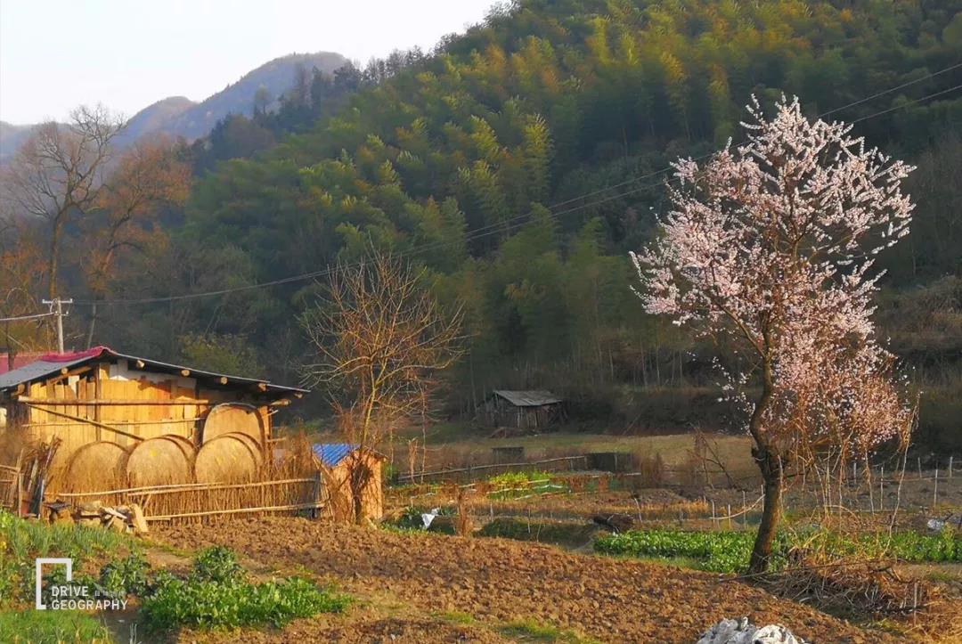 天柱山在哪里？为何倍受战斗民族青睐？自驾地理