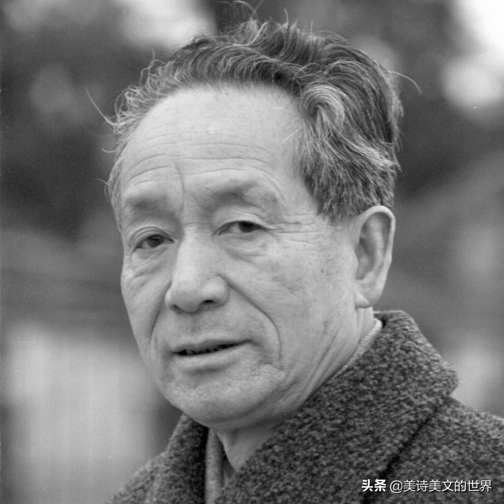 艾青最经典的10首诗(艾青最经典的10首诗爱国) - 武陵观察网