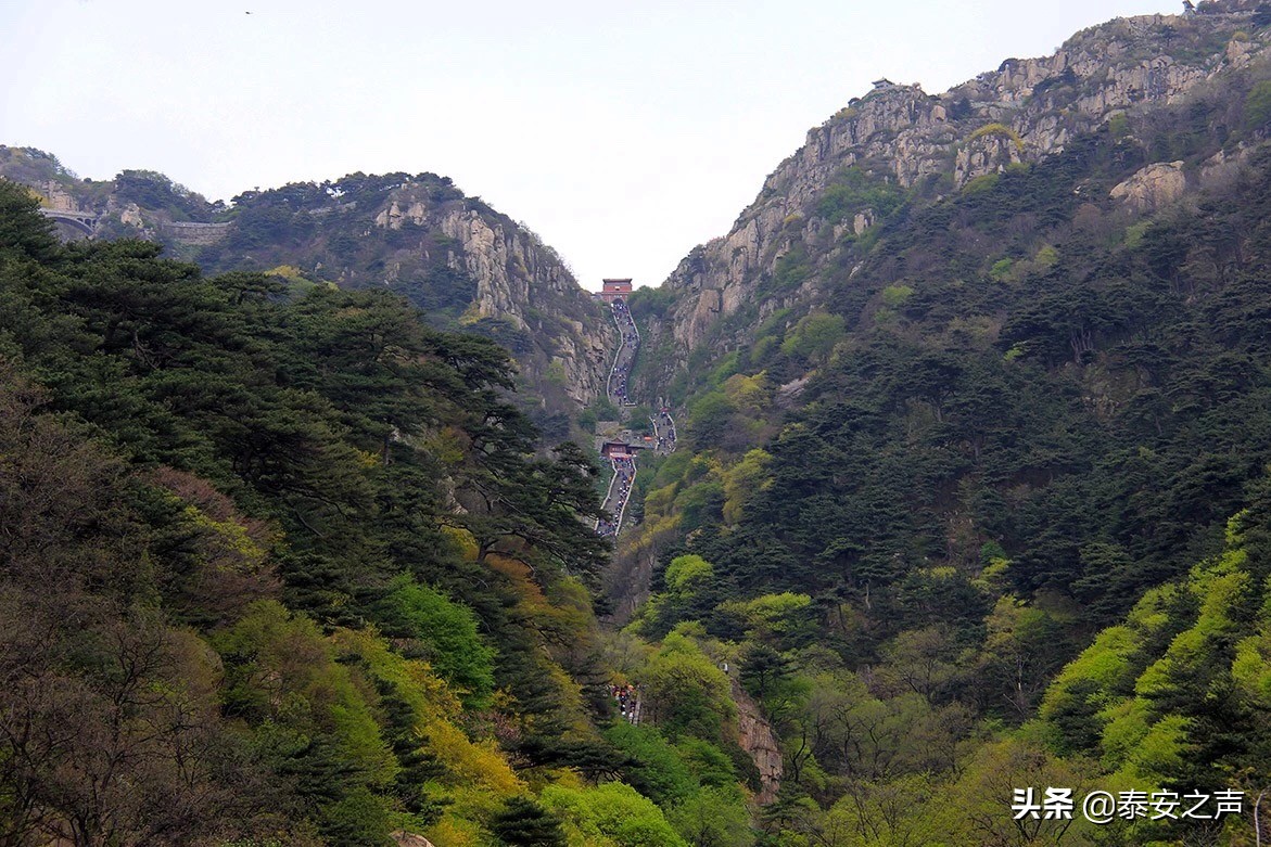 一位泰山挑山工的心灵独白：我对这段经历没齿难忘，给我留下了终生的印痕