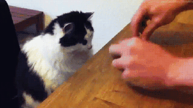 叩怎么读（你说武汉方言听不懂？我信了你的邪，太简单了吧）