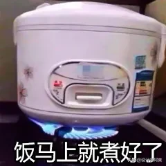 廚房燃氣灶到底怎么選?看完這篇再說話