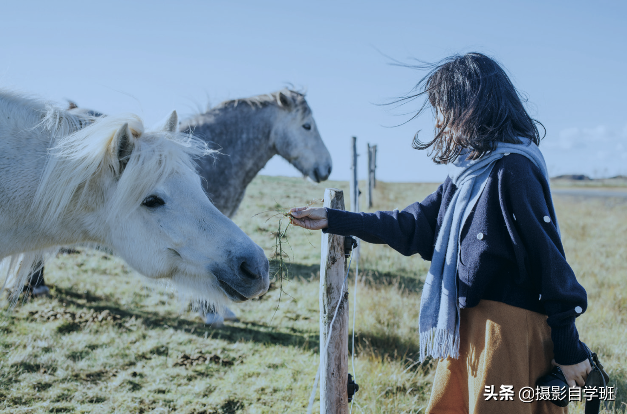 去旅游，不知咋拍照片好看？15个摄影技巧收藏好，以备你旅行使用