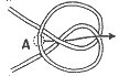 学好这50多种户外绳子打结，非常有用，附图文解说，快收藏(二)