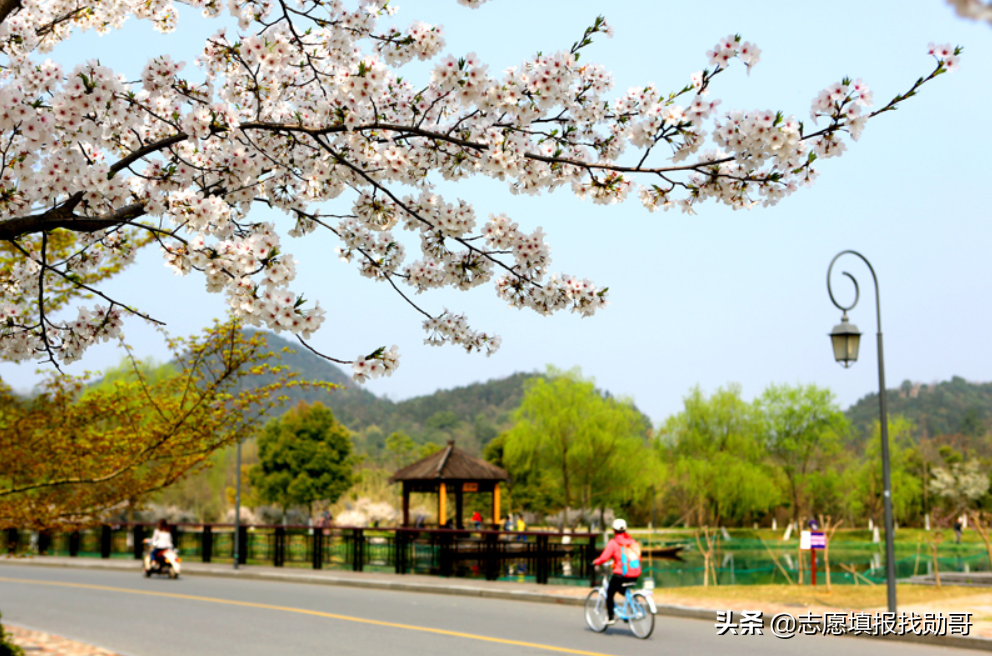 这两所双非大学，评上双一流，肯定有戏！？考生：怎么不早说？