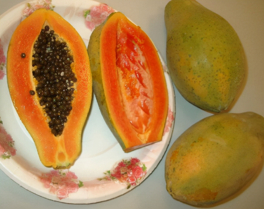 番木瓜能吃吗 -生活知识库-动动脑