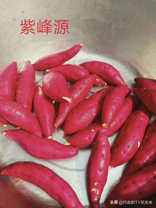 陕西西安欣桥农贸市场4月19号部分蔬菜批发价格(请关注)