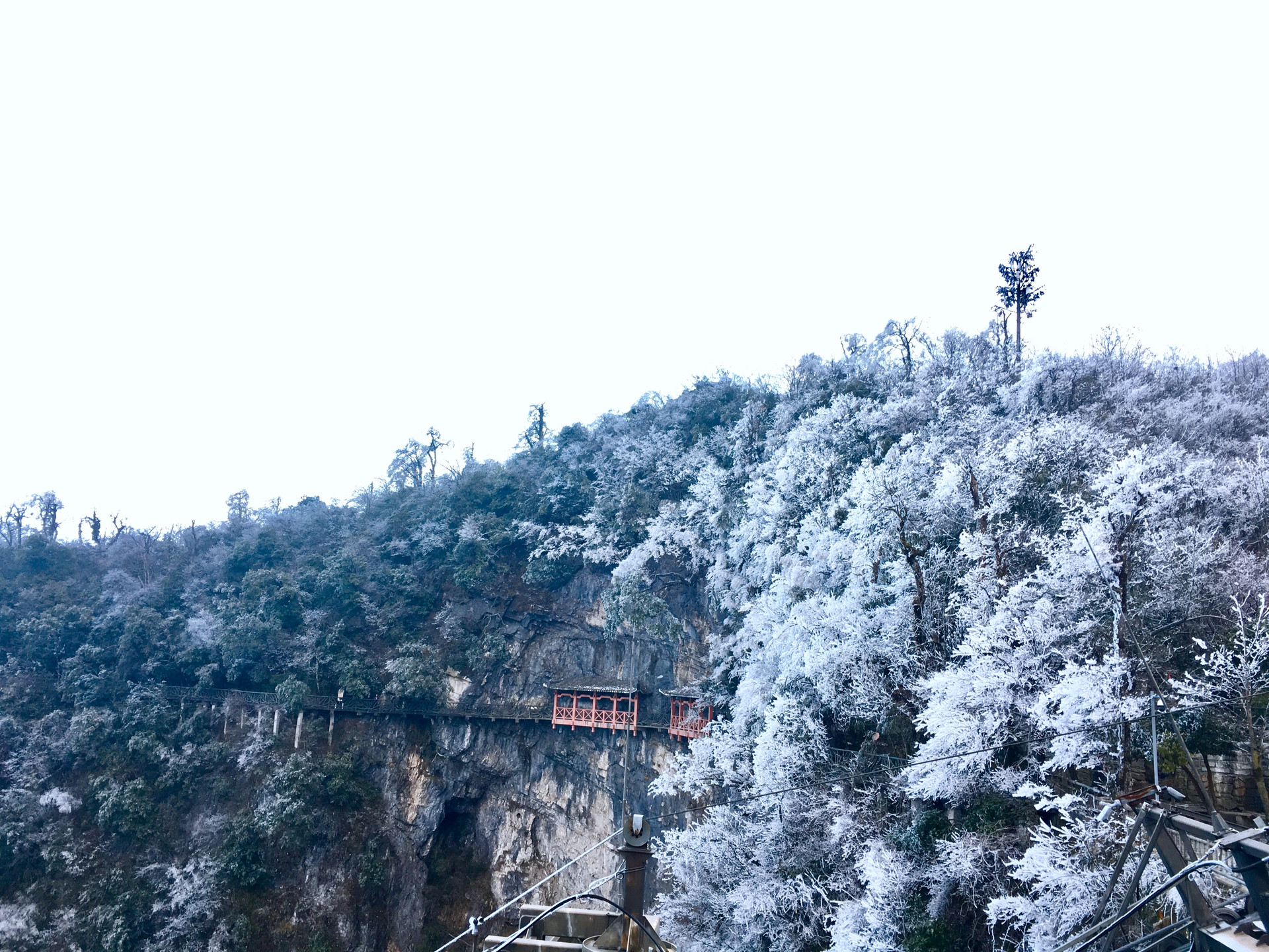 50幅雪画，50首雪诗，与你赏尽雪冬之美！