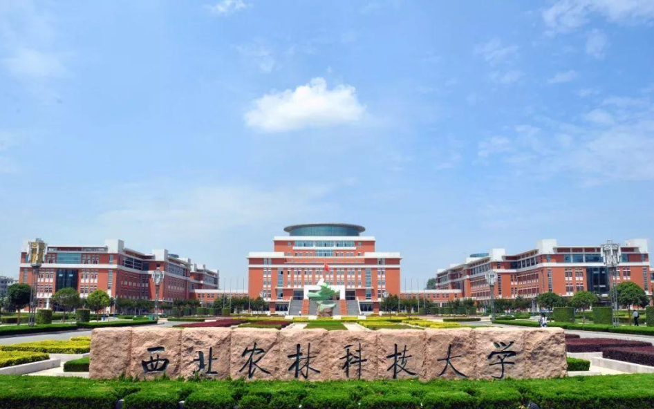 坐落在小县城的985高校，录取分数常年偏低，适合学生捡漏