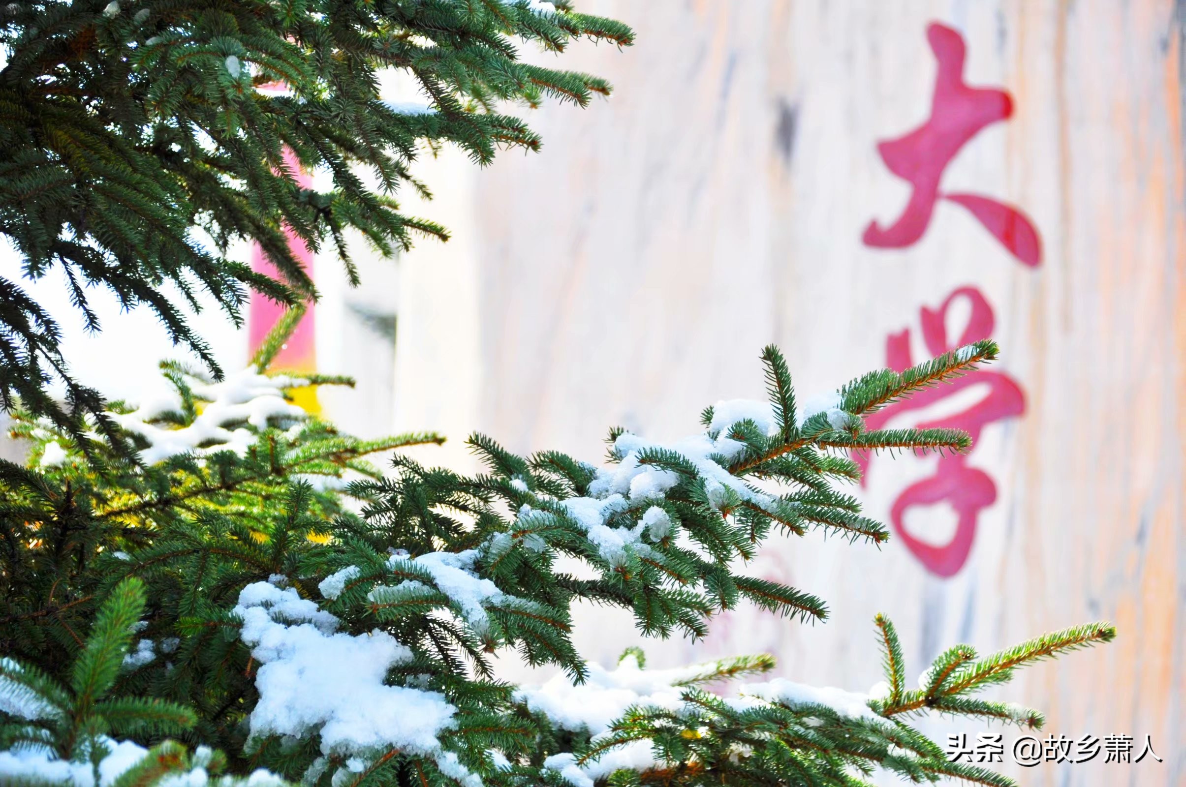 中国最北大学在哪里？