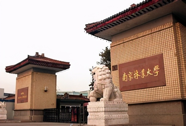 高考钉子户梁实：参加高考24次，今年再次走进考场，结局怎样呢？