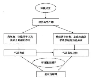 小儿哮喘的症状与治疗【建议收藏备用】