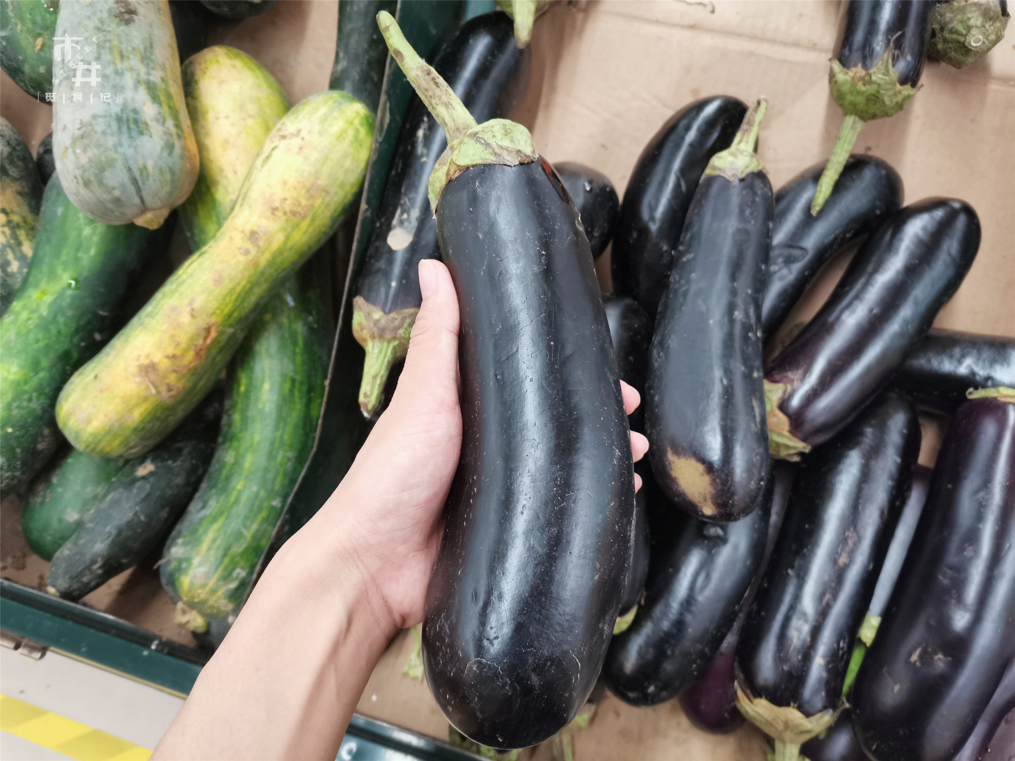 买茄子，圆茄子好还是长茄子好？不同品种不同做法，别搞错了