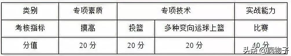 高水平篮球比赛打到多少分(2020体育单招（高校高水平运动队）考试评分标准—篮球)