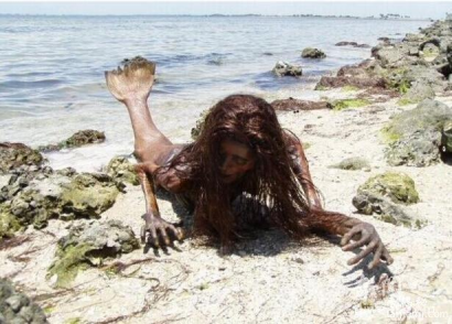 世界上有美人鱼吗 美国发现了一只活恐龙-经验帮