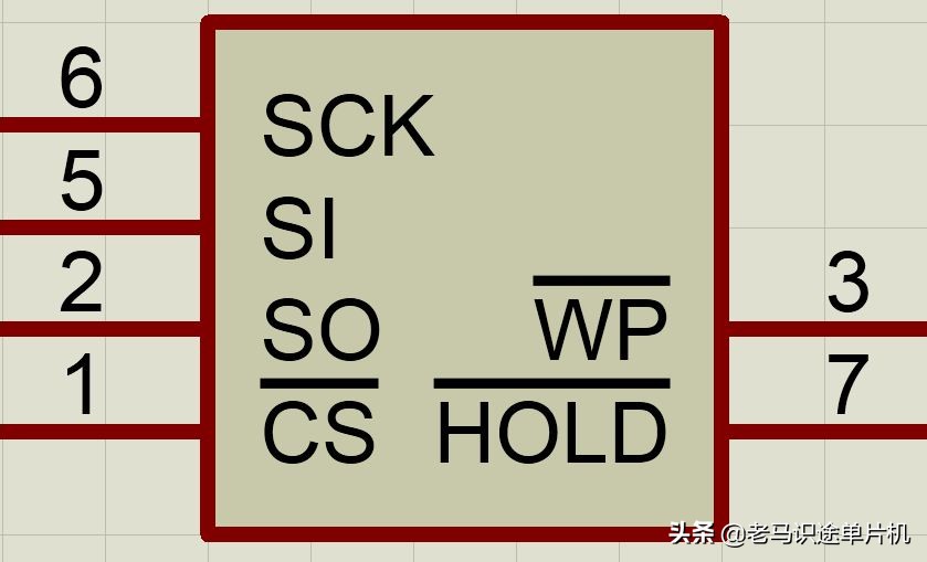 proteus怎么读（proteus 怎么读）-第2张图片-科灵网