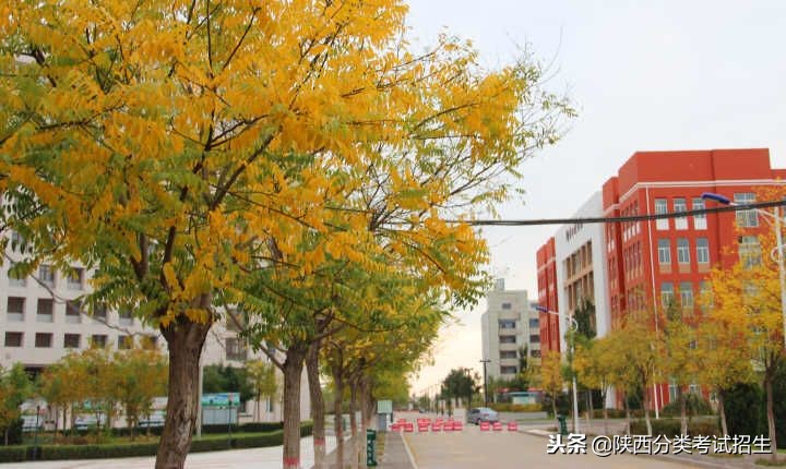 魅丽校园行之-榆林职业技术学院