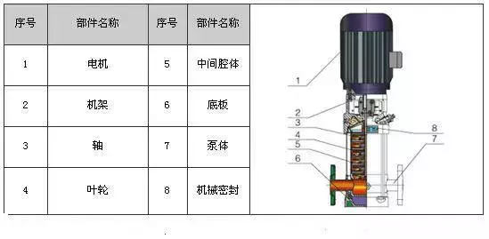 剖开看34种泵的内部结构图 性能特点一目了然