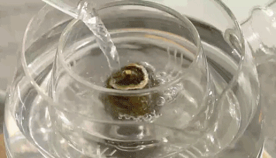 荣获德国红点设计奖的煮茶器，颠覆传统，煮倒一体，让喝茶更方便