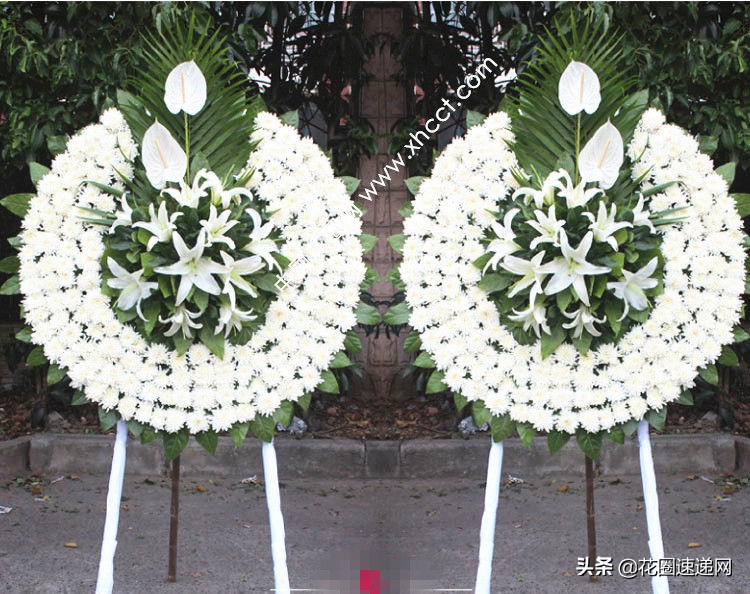 悼念鲜花图片(丧葬用花) - 赤虎壹号