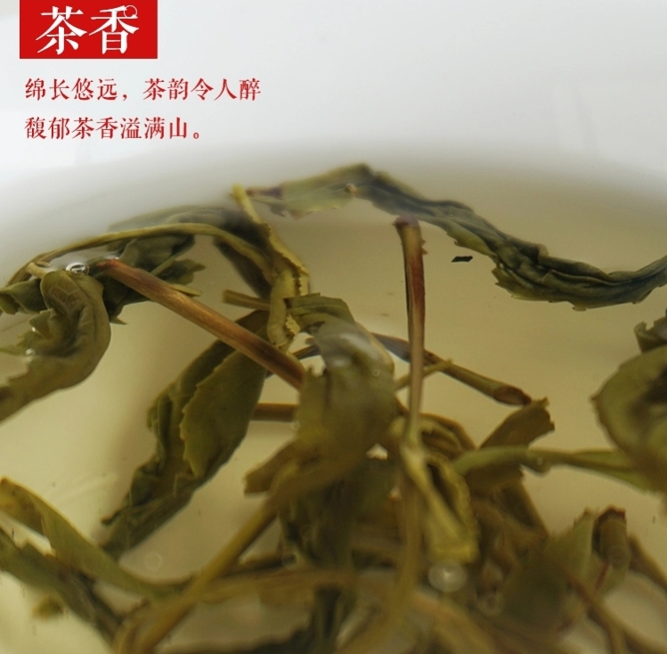 黄茶之霍山黄大茶