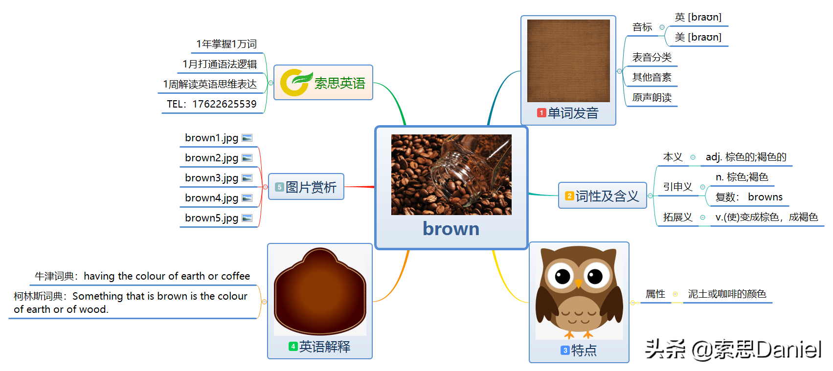 索思英语解码单词（第383个）——brown棕色