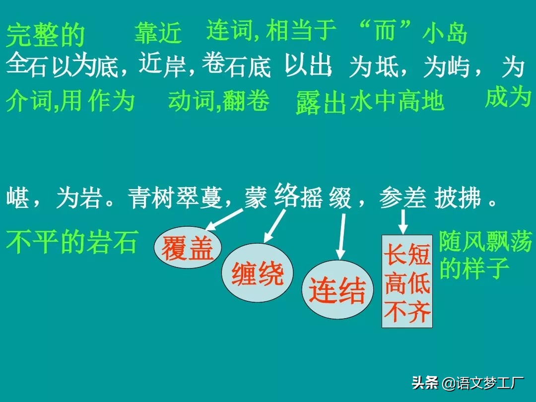 初中语文读讲练：八下三单元《小石潭记》