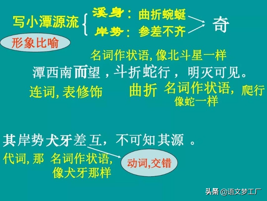 初中语文读讲练：八下三单元《小石潭记》