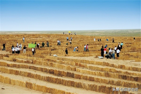 大学专业：为水土保持与荒漠化专业正名！它并非你想象的冷门