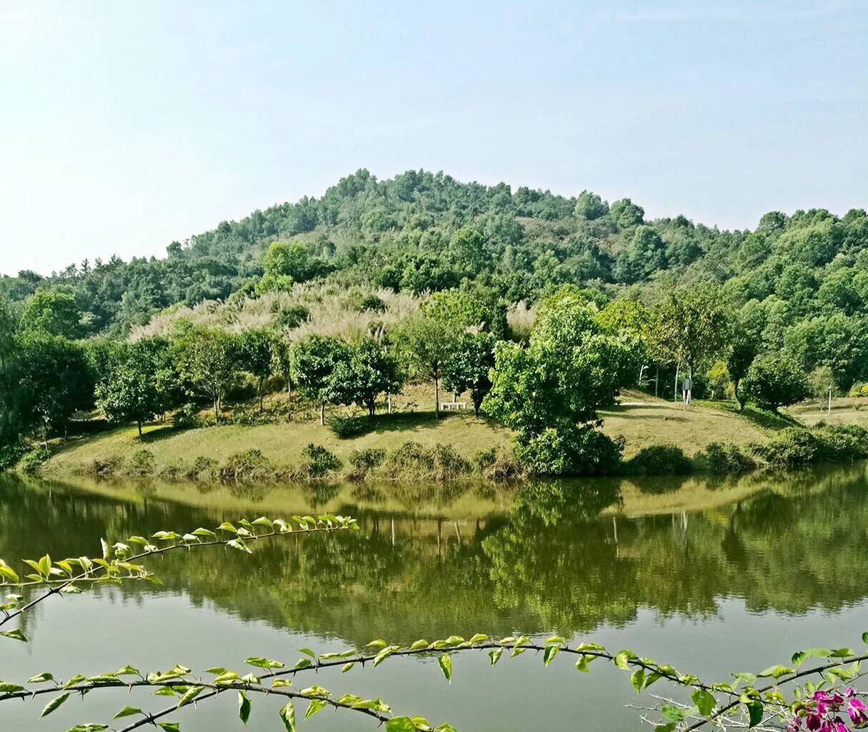 深圳十大免费特色的湖泊公园