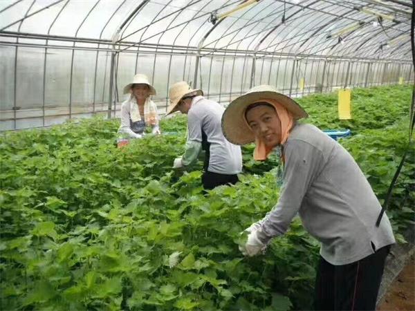 小聘课堂：教你辨别靠谱的出国劳务