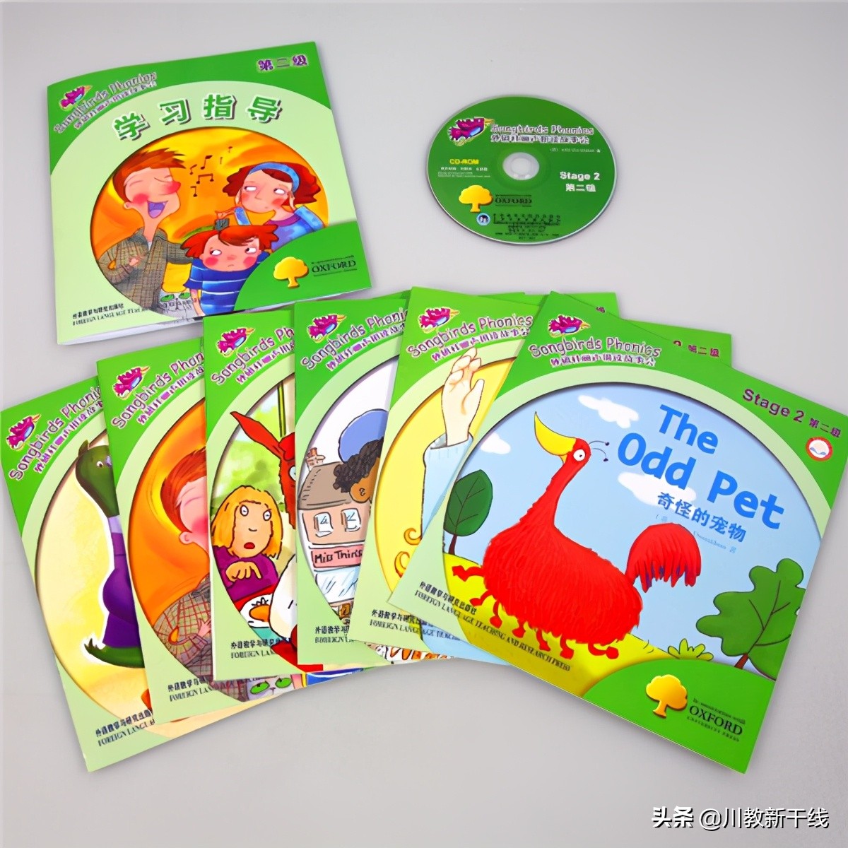 绵阳富乐国际学校：聚焦“四有”课堂 引领英语教学新风尚