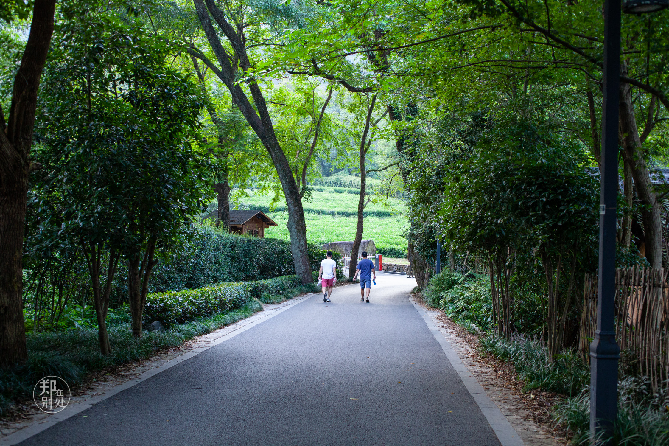 北高峰爬山路线图西湖北高峰爬山路线图