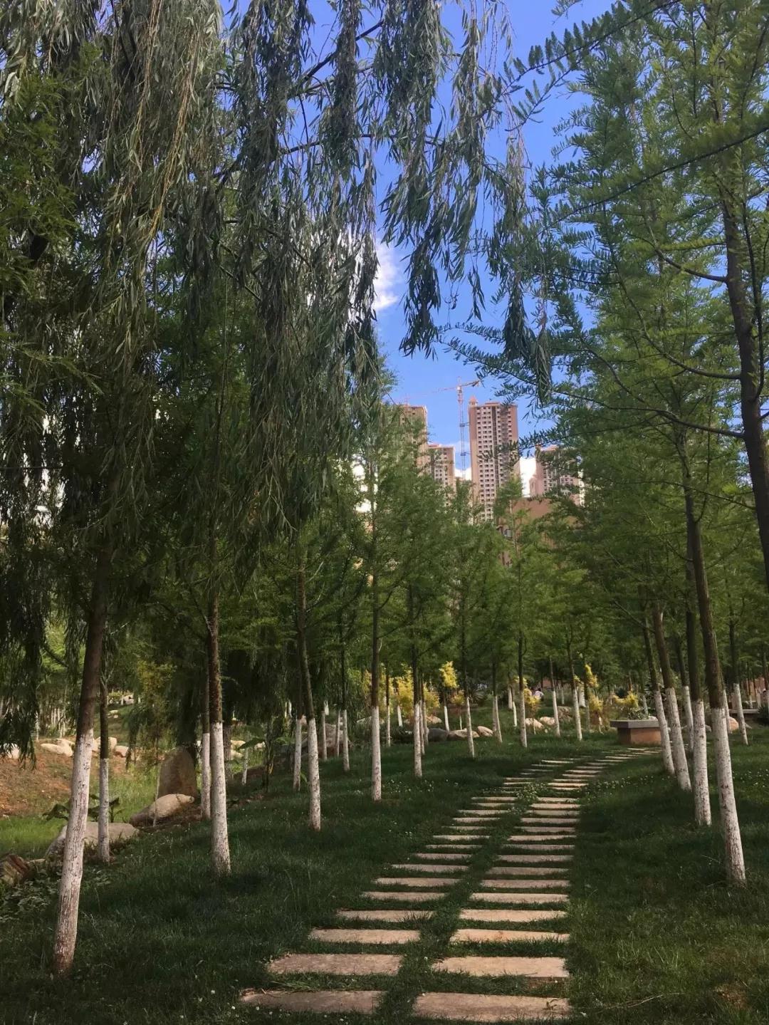 昆明最值得打卡的100个地方！你去过几个？