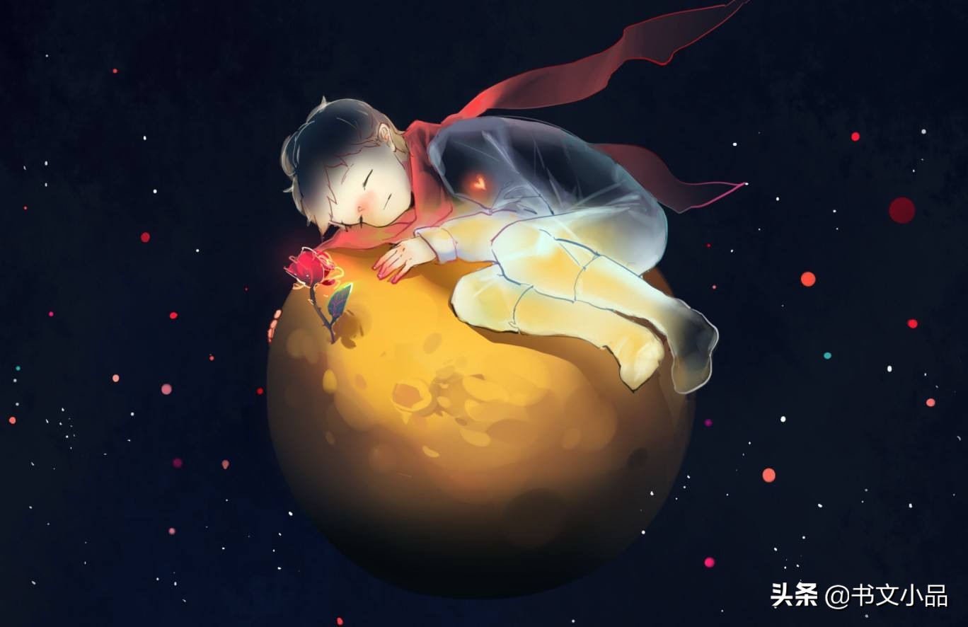 豆瓣9.0《小王子》：与玫瑰的爱情隐喻，是爱与责任的忏悔