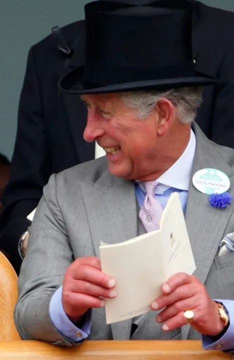 《沙丘》看完了，但这些指间的“隐秘”你真看懂了吗？