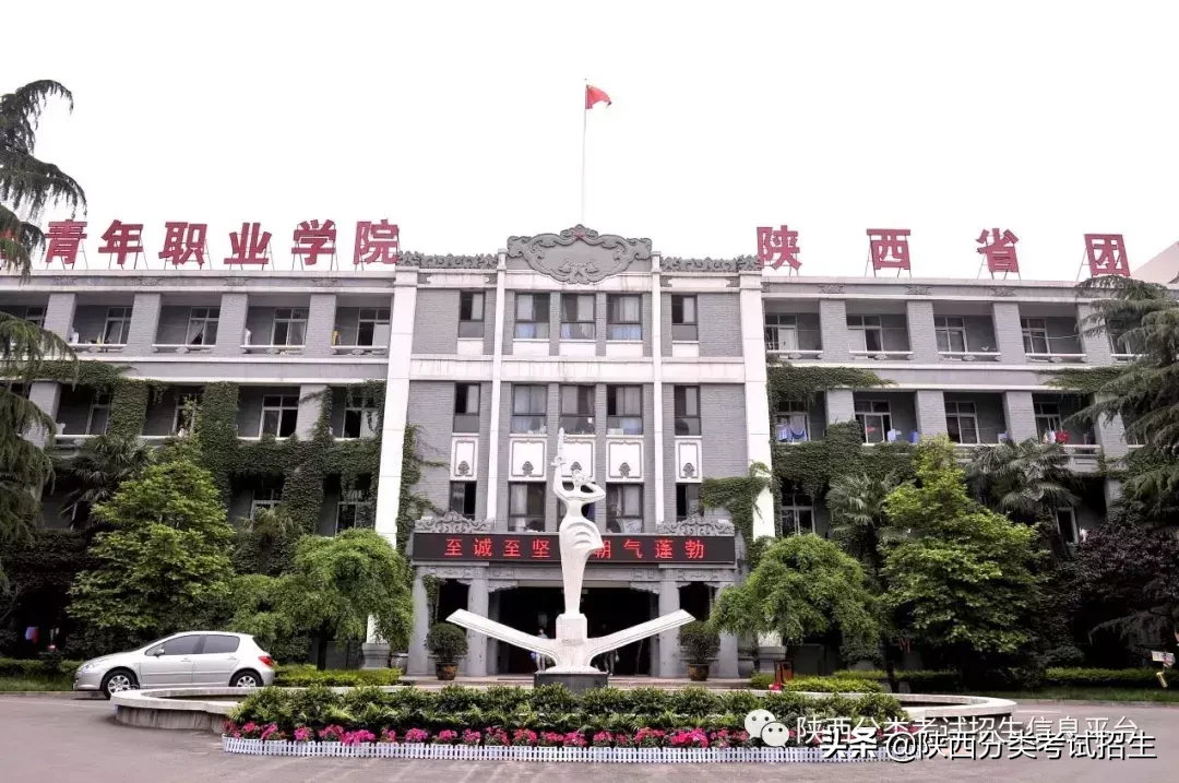 【国家公办】陕西青年职业学院2019年分类考试招生简章及院校介绍