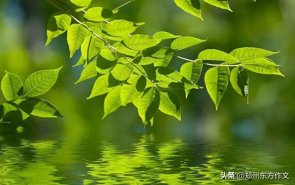 春回大地，万物复苏，花开满园，生机盎然，春风拂面，心随景动。