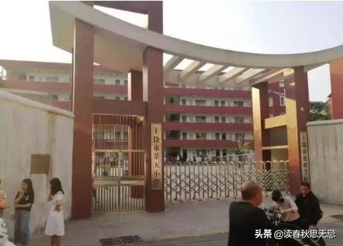 学校暴力读后感（痛哉）